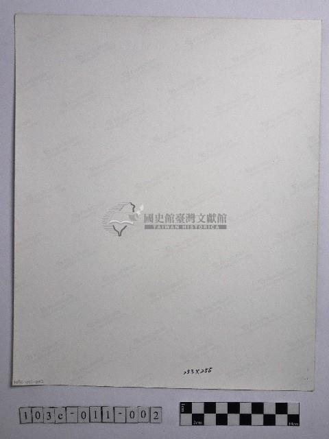 黃則修攝櫻花藏品圖，第2張