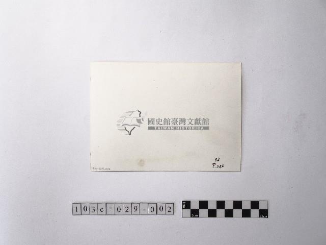 黃則修攝大安公園藏品圖，第2張