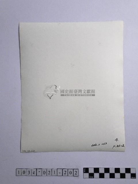 黃則修攝人群藏品圖，第2張