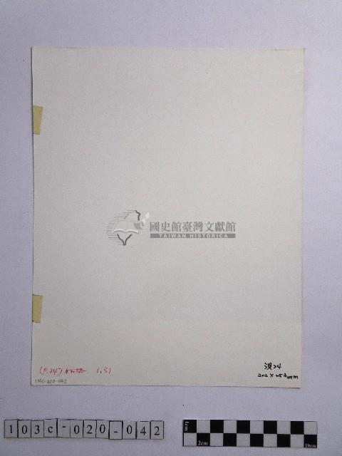 黃則修攝參天的原始巨木林藏品圖，第2張