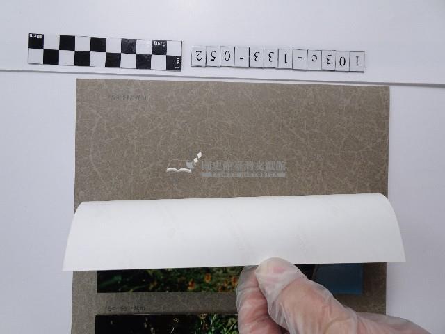 天人菊藏品圖，第2張