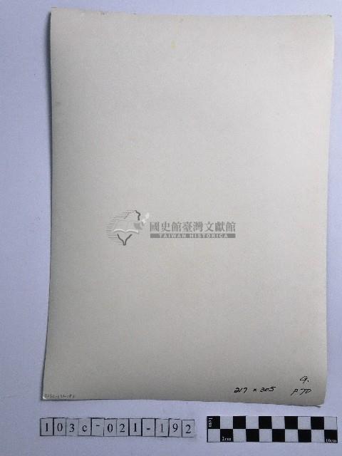 黃則修攝男童藏品圖，第2張