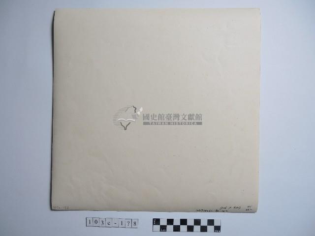 池塘裡的鵝藏品圖，第2張