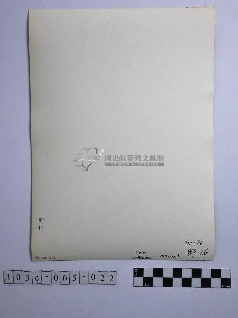 黃則修攝野柳地景藏品圖，第2張