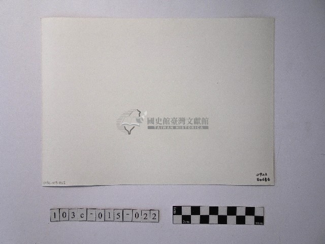 黃則修攝開花的樹木藏品圖，第2張