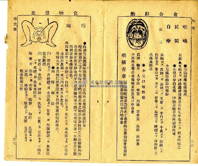 和漢草名對照表藏品圖，第12張