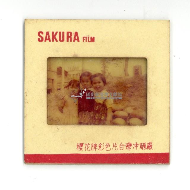 幻燈片之婚禮系列藏品圖，第11張