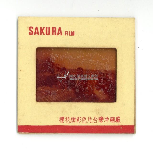 幻燈片之婚禮系列藏品圖，第5張