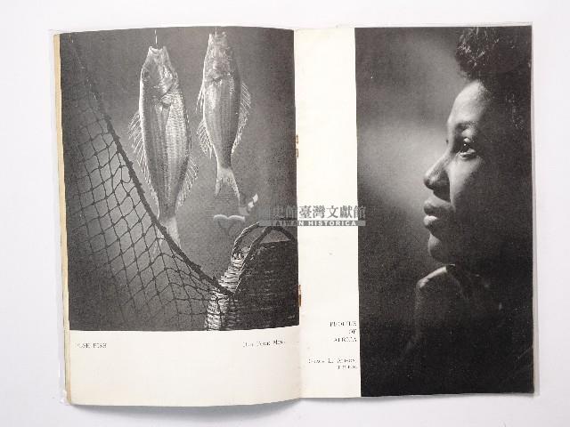 《BPS 1884,Birmingham Photographic Society》藏品圖，第16張