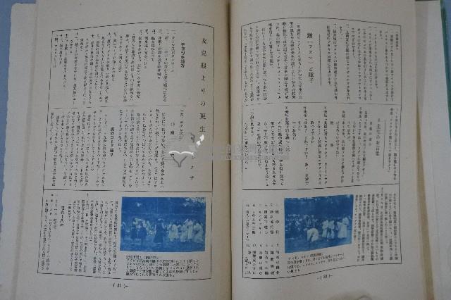 記念藏品圖，第13張