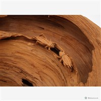 競技藏品圖，第6張