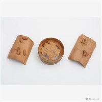 蛻變藏品圖，第4張