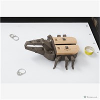 人與蟲藏品圖，第4張