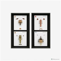 人與蟲藏品圖，第7張