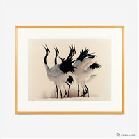 丹頂鶴(一)藏品圖，第1張