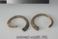 排灣族豬牙飾品	 	藏品圖，第1張