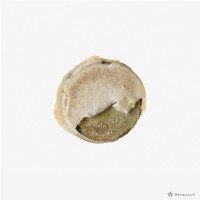 日本幣十錢藏品圖，第4張