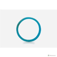 藍色手環藏品圖，第2張