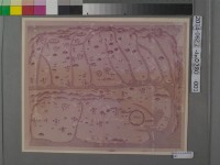 蔣元樞新建鳳邑望樓圖說相片藏品圖，第1張