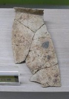 陶罐口緣大湖文化藏品圖，第2張