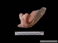 陶蓋  大湖文化藏品圖，第1張