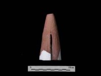 鳥頭狀器蔦松文化藏品圖，第1張