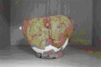 紅褐色夾砂/斂口帶鈕圈足缽藏品圖，第1張