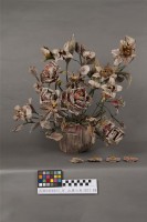 銀票花(盆花)藏品圖，第2張