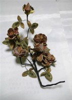 銀票花(樹枝)藏品圖，第1張
