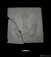 文山秀氣石刻藏品圖，第3張