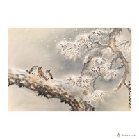 鳥藏品圖，第1張