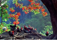 小憩藏品圖，第1張