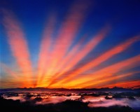 光芒萬丈藏品圖，第1張