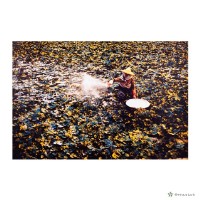 白河鎮/藕粉藏品圖，第1張