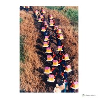 太子宮/放水燈藏品圖，第1張