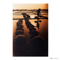 七股鄉/鹽田風光藏品圖，第1張