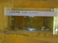 二彩唐津盤殘片（7塊）藏品圖，第1張