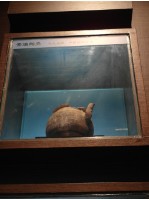 素燒陶壺殘片-02藏品圖，第1張