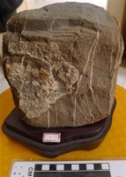 圖案石藏品圖，第1張