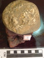 圖案石藏品圖，第1張