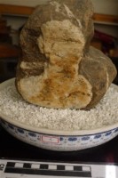 圖案石藏品圖，第1張