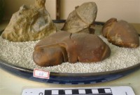 礦石藏品圖，第1張