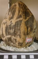 礦石藏品圖，第1張