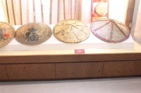 盾牌(左一)藏品圖，第1張