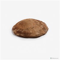 翁明輝小面牛皮盾藏品圖，第1張