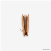 南管樂器-拍藏品圖，第2張