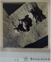 金唐殿何金龍剪黏藏品圖，第1張