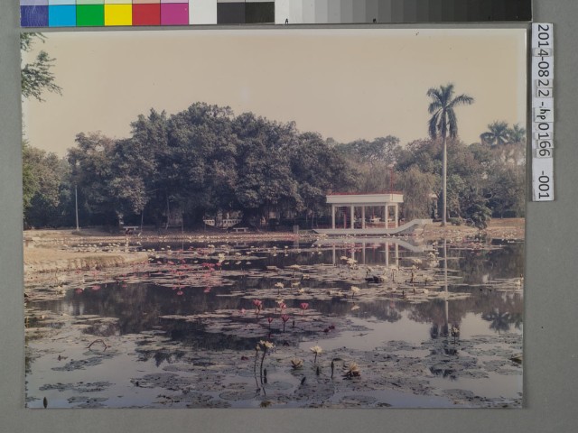 臺南公園燕潭今貌	的圖片