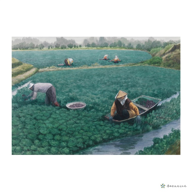 菱角園風光的圖片