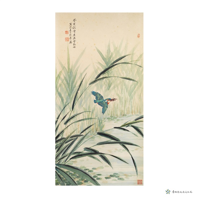 秋鳥的圖片